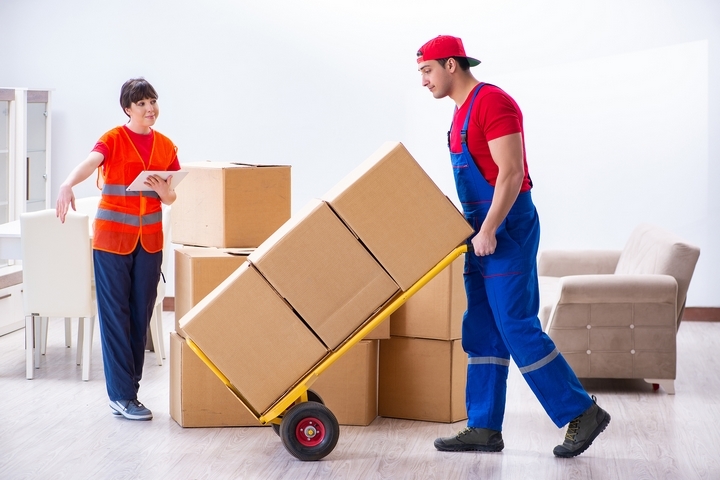 Local movers services in UAE providing professional and affordable relocation